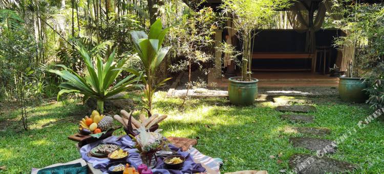 圣贝尼托农场(The Farm at San Benito)图片