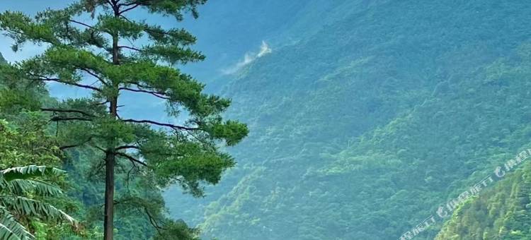 上林观景阁客栈图片