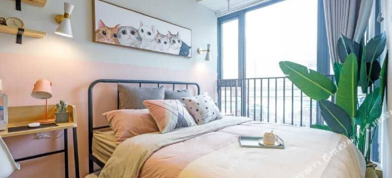 乐轩公寓(合肥高铁南站罍街店)图片