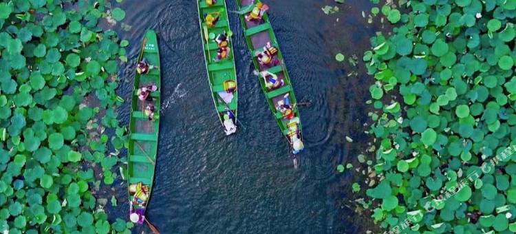 普者黑•野舍AWAKENING•SOULMATE•落日湖景设计师酒店(青丘画璧店)图片