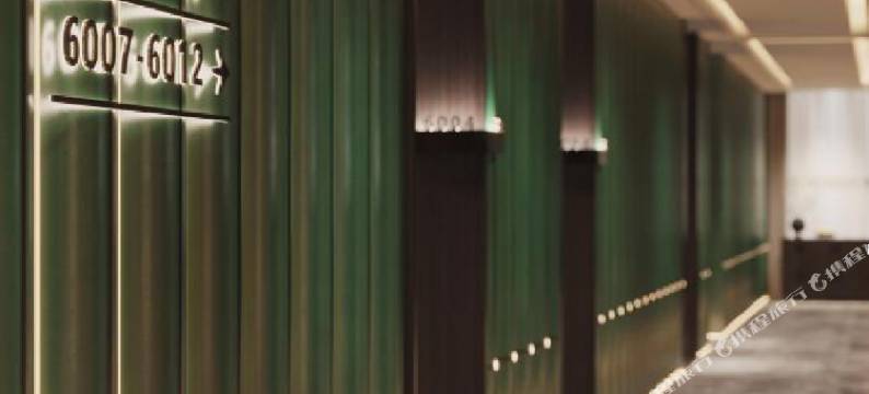 禹州美狮美高美酒店图片