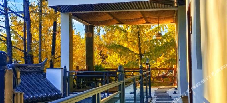 腾冲银杏村泊梦精品民宿图片