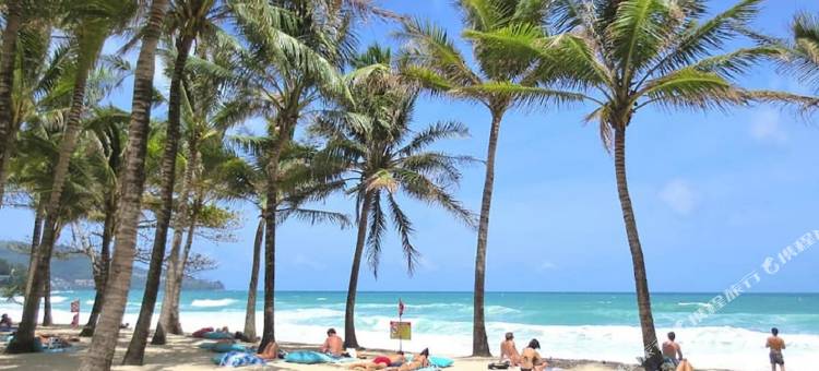 The Aristo by Holy Cow 420图片