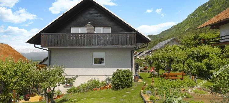 Rikli Rodine公寓，靠近布莱德(Apartments Rikli Rodine Near Bled)图片