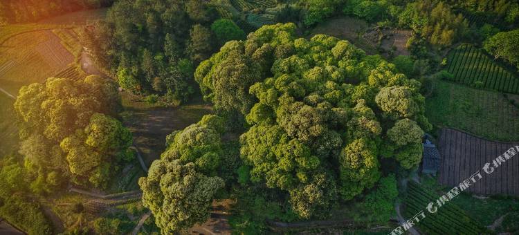丽水遂昌乐领旗山侠隐庄园图片