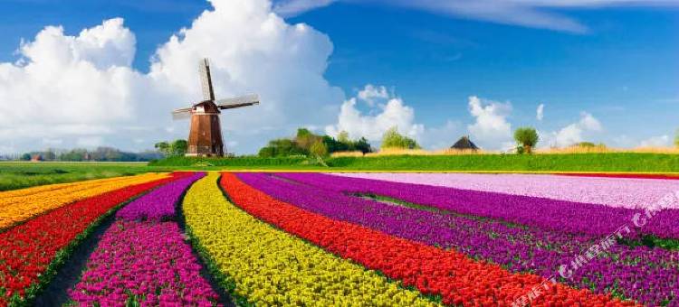 锦江都城酒店(盐城大丰常新路店)图片