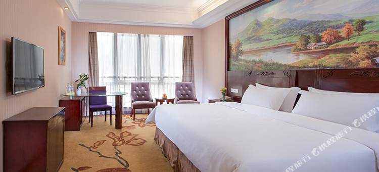 维也纳国际酒店(三亚千古情免税城店)图片