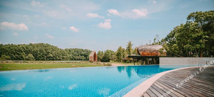 树蛙部落(仙女湖店)图片