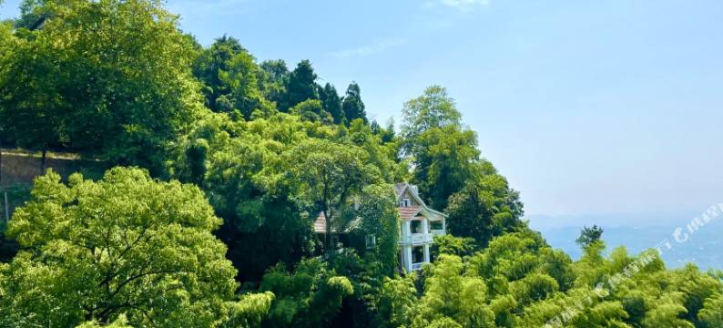莫干山杜月笙公馆.柏野民宿图片