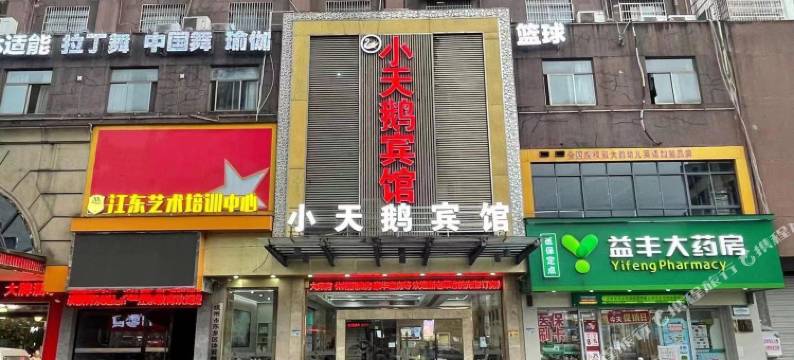 东乡小天鹅宾馆图片