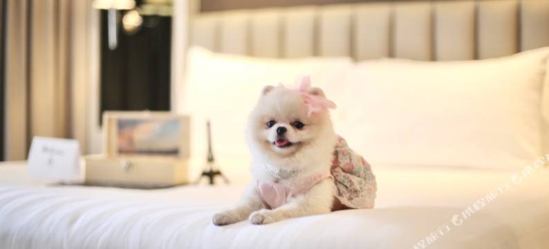 曼谷绔缇雅酒店 - 鹏蓬区/通罗区(The Quartier Hotel Phromphong - Thonglor)图片