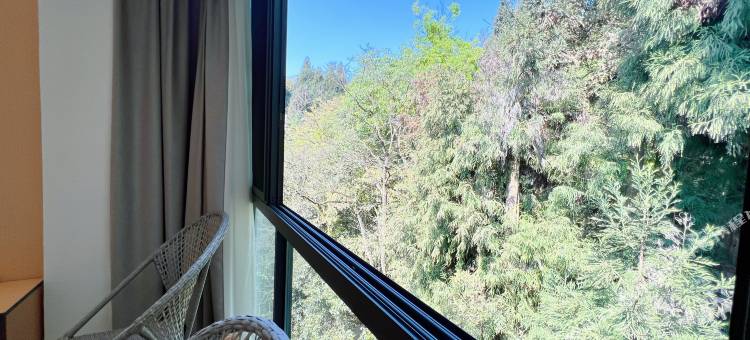 天台山林荫山庄图片