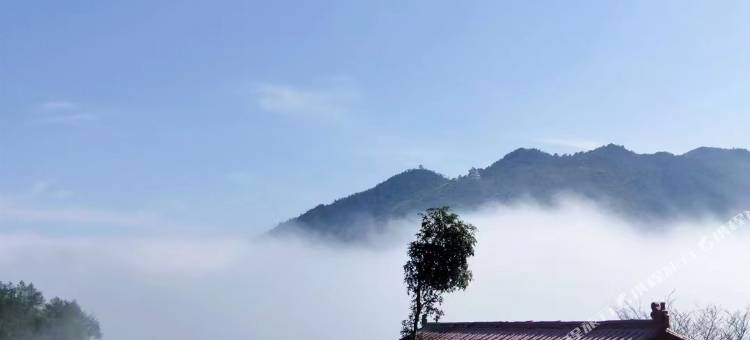 仙岛湖仙龙岛民宿图片
