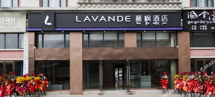 麗枫酒店(林芝波密318国道店)图片