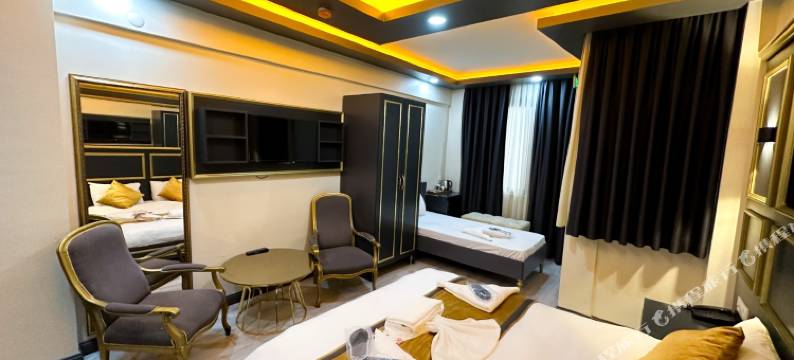 塔克西姆Feridiye DNZ酒店(DNZ Taksim Feridiye Hotel)图片