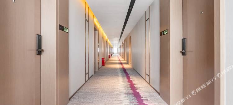 麗枫酒店(佛山丹灶店)图片