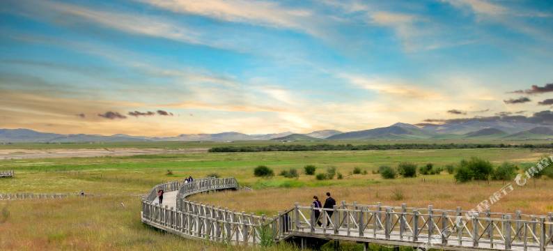 若尔盖唐克镇星辰酒店图片