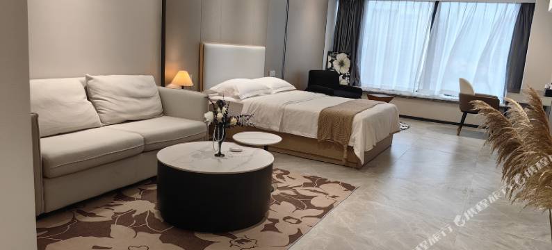 设计师智能公寓(广州宝能演艺中心萝岗万达广场店)图片