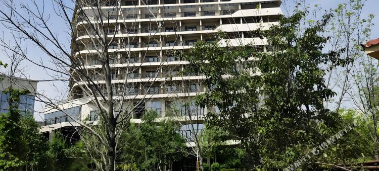 汐光屿·御龙湾海景美宿图片