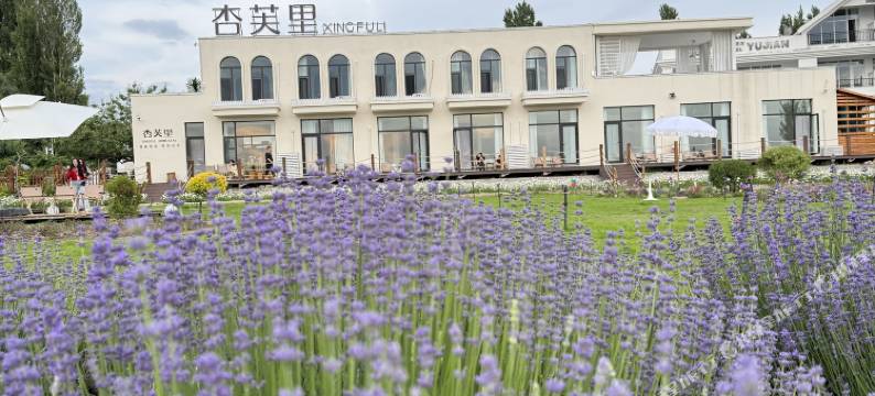 霍城杏芙里·度假民宿(晃晃村店)图片