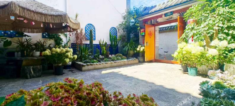 大理瓦拾叁・苍洱风光轻奢 Villa 民宿(洱海生态廊道才村店)图片