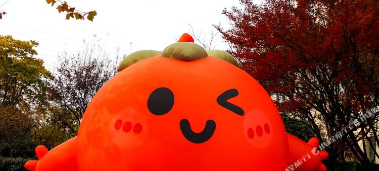 淮安雷卡纳酒店图片