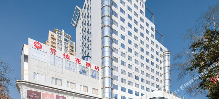 雪绒花酒店(郑州丹尼斯大卫城省人民会堂店)图片