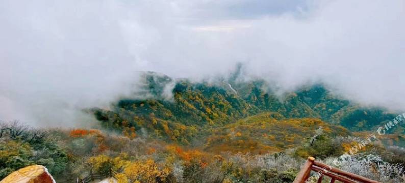 光雾山茂华楼宾馆图片