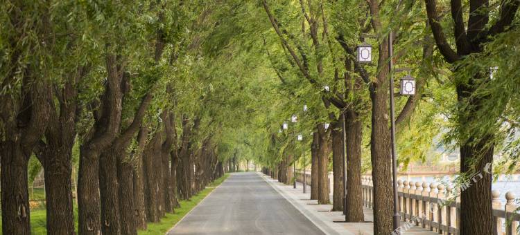 齐齐哈尔水师森林温泉度假区图片