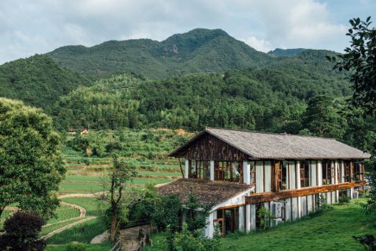 丽水云和梯田稻田民宿