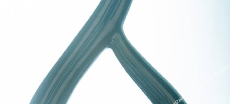 慢鱼民宿(黄河路分店)图片