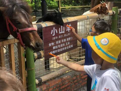 深圳青青世界酒店图片