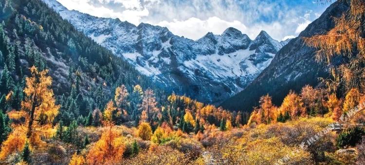 黑水羊茸·哈德精品民宿图片