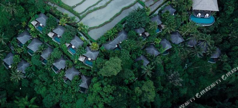 乌布纳特亚度假村(Natya Resort Ubud)图片