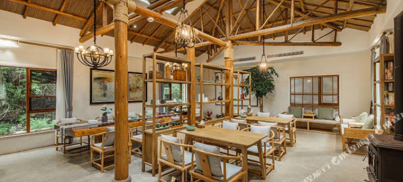 安吉无尘茗宿图片