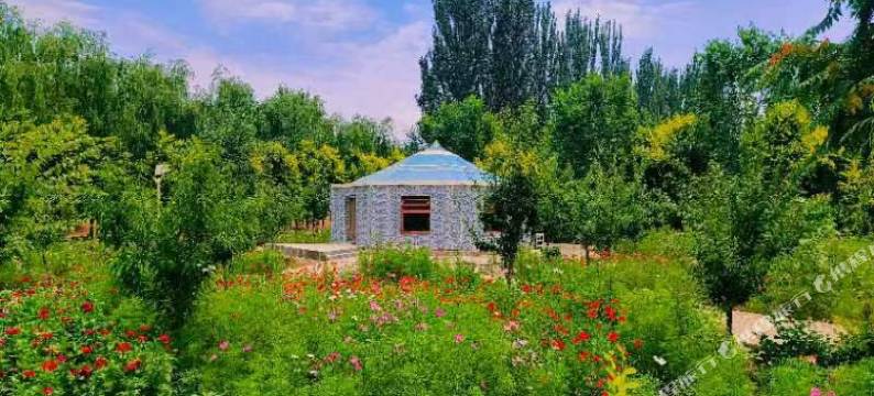 中卫田觅觅亲子农场图片