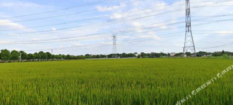 新华意方民宿图片