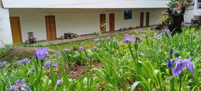 嵩县天池山莲花山庄图片