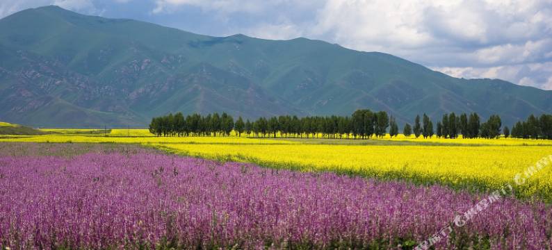 昭苏夏塔望山居民宿图片
