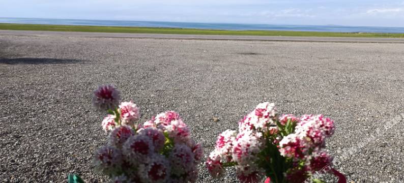 共和望湖酒店图片