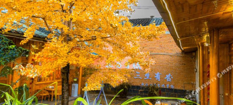 腾冲银杏村山哥客栈图片