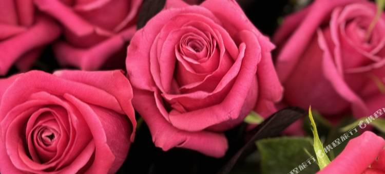 武定亦欢酒店图片