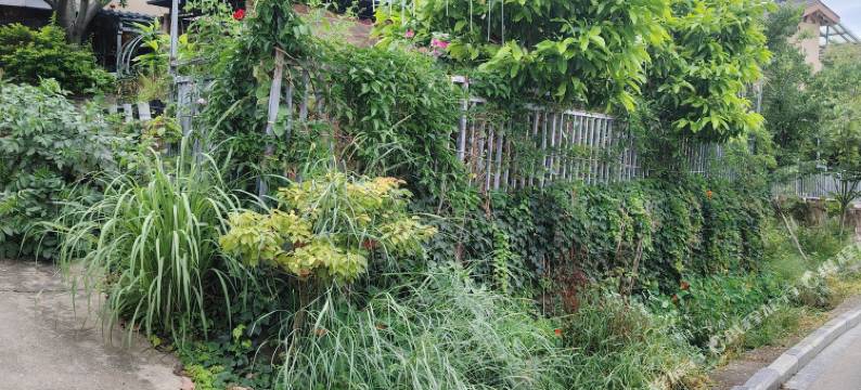 西昌凉亭叙休闲农家乐图片