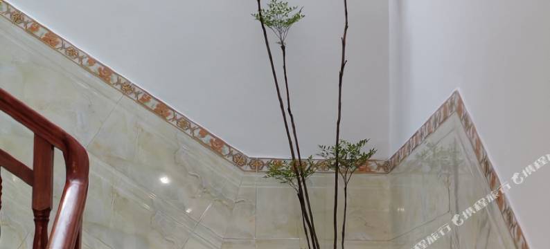 阳朔品尚酒店(遇龙河景区店)图片