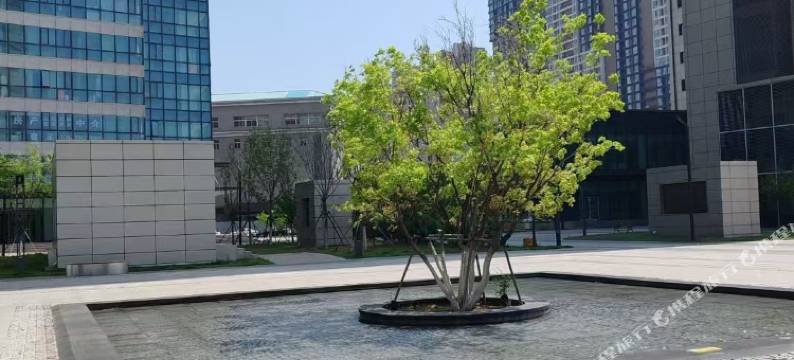 沈阳嘉遇民宿(沈阳大学店)图片