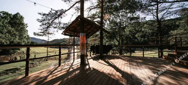 伊春山己森林营地图片