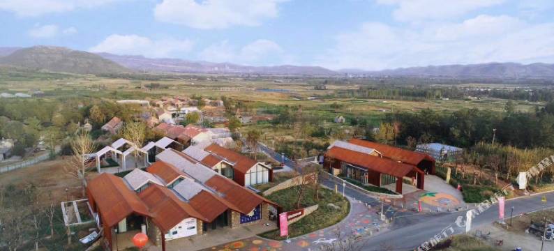 沂南朱家林原舍柿家图片