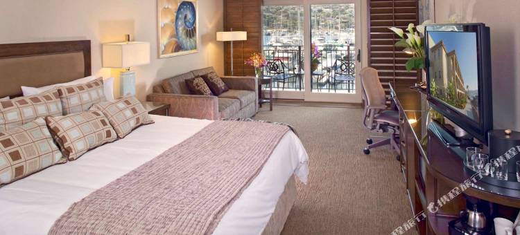 棕榈岛滨海贝斯特韦斯特优质度假酒店(Best Western Plus Island Palms Hotel & Marina)图片