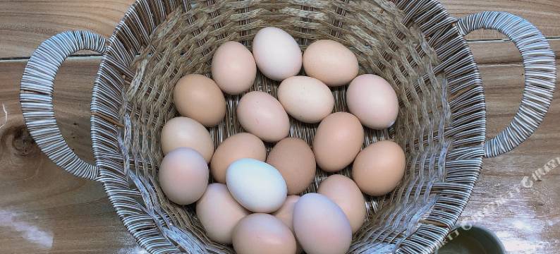 张北村夏·冬野民宿图片