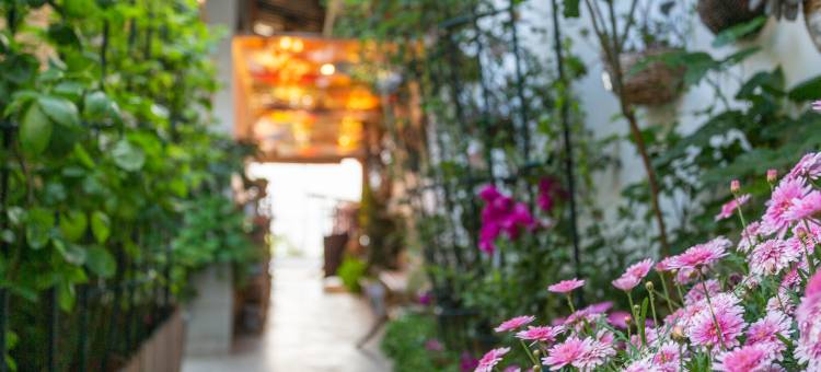 泸沽湖六间房私人庭院湖景民宿图片